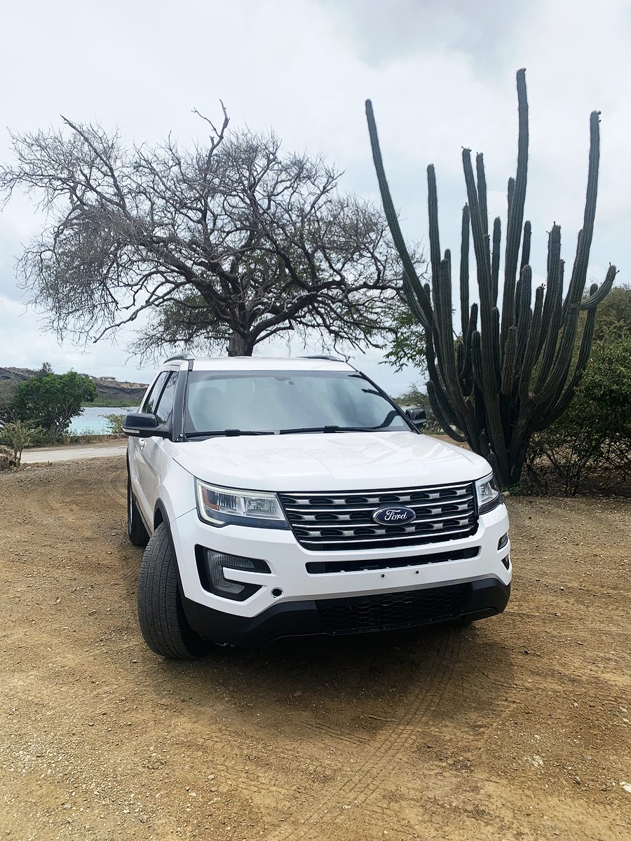 The white Ford Explorer in front of a kadushi cactus