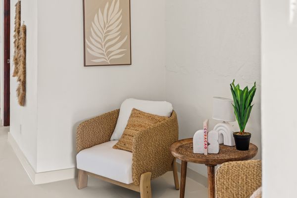 Rattan armchair with a plant
