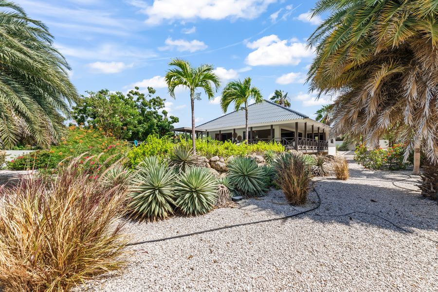 De tuin met agaves en palmen
