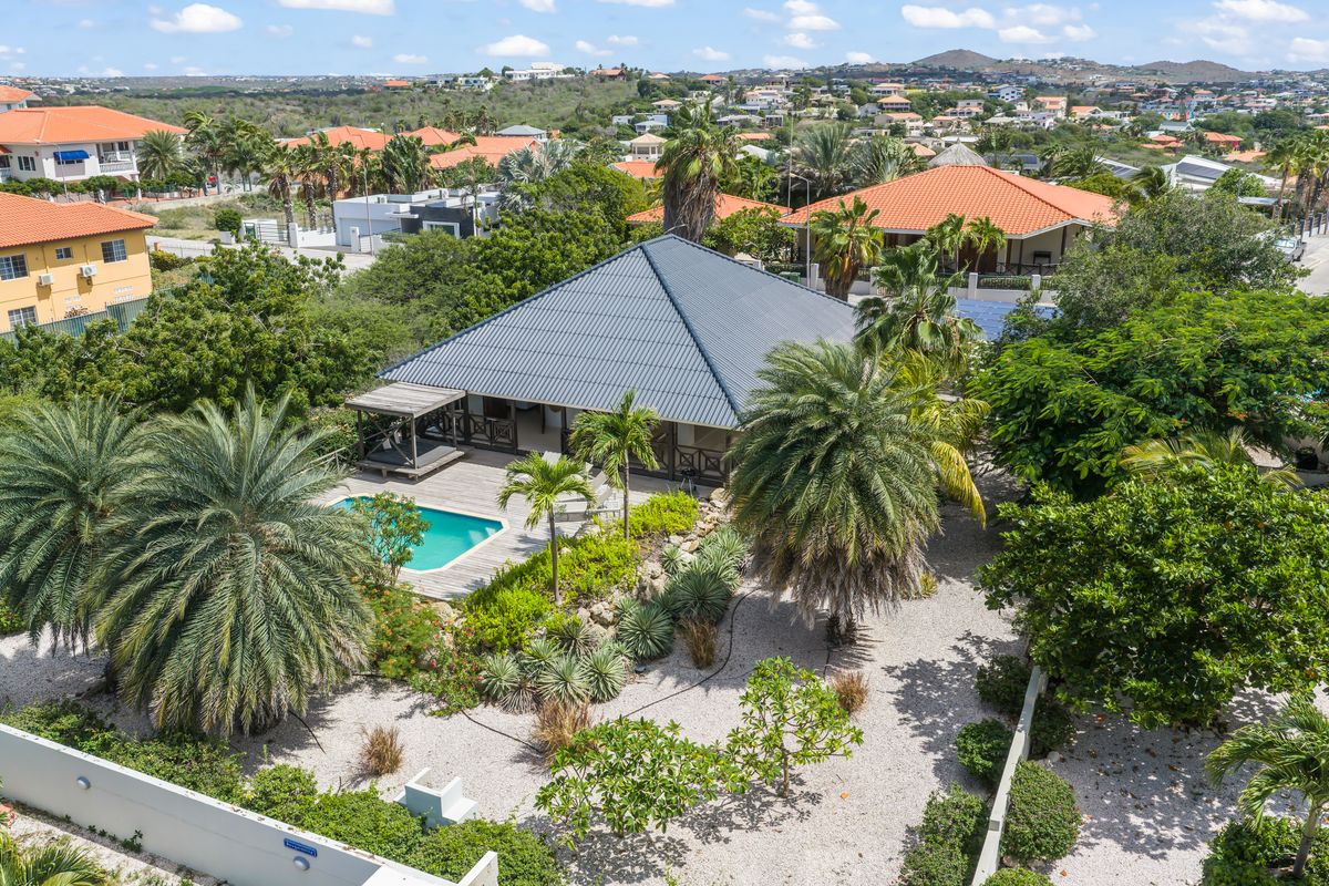 Aerial photo of the villa among the palms in the neighbourhood